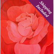 Pink Softness Limited Edition Floral Print Pink Softness Limited Edition Floral Print