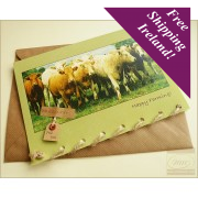 Greeting Card (Irish Cows) Greeting Card (Irish Cows)