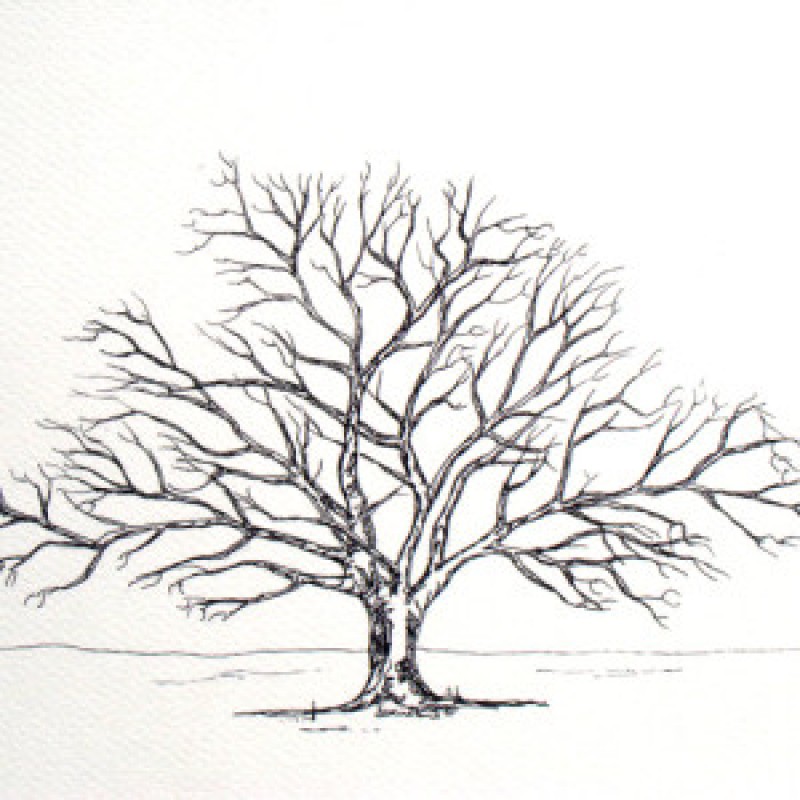 tree design